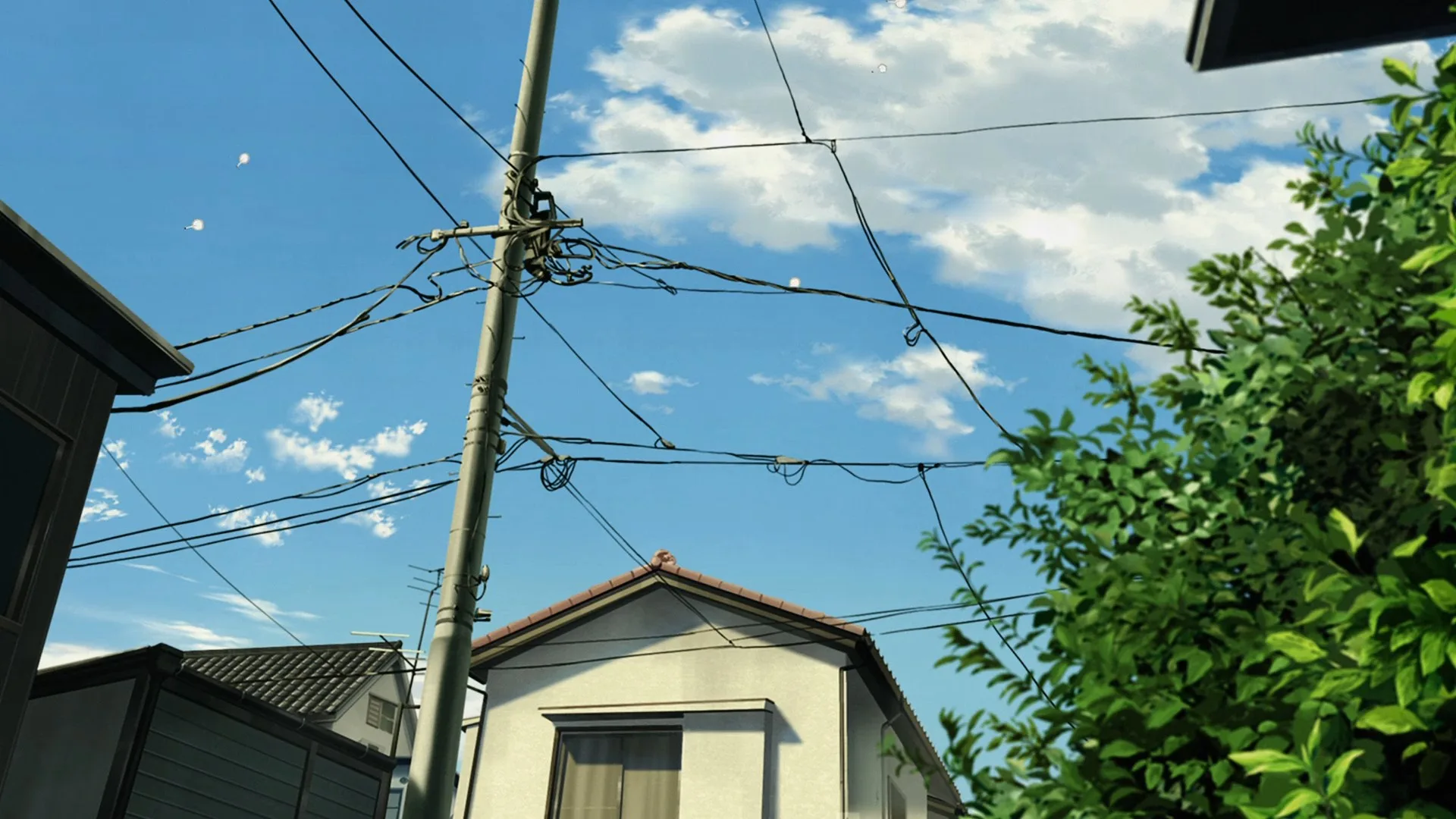 Табакошка — кадр 4